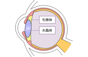 無調節の場合