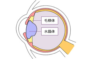 調節の場合